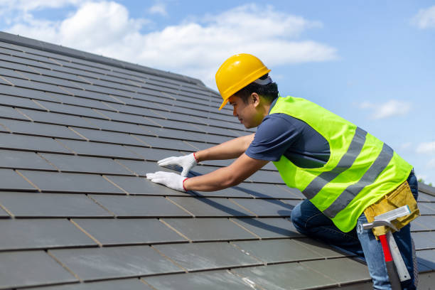 Best Storm Damage Roof Repair  in Steele, MO