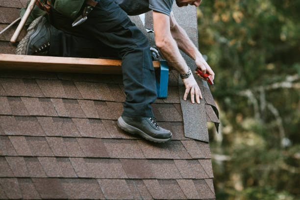 Best New Roof Installation  in Steele, MO